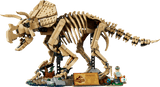 Les fossiles de dinosaure : le tricératops