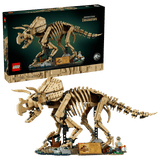 Les fossiles de dinosaure : le tricératops